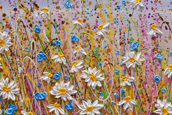 Summer Daisies - wildflower meadow painting