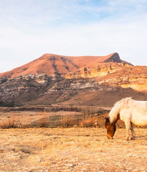 GOLDEN GATE NATIONAL PARK by Andrew Lever