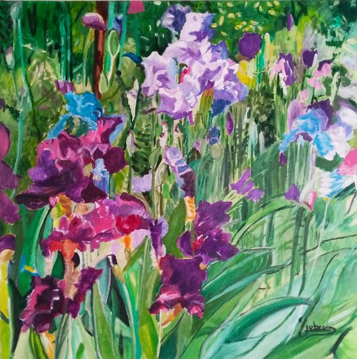 Irises by Isabelle Lucas