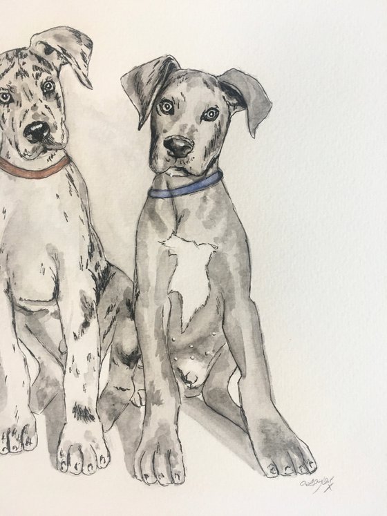 Great Dane painting