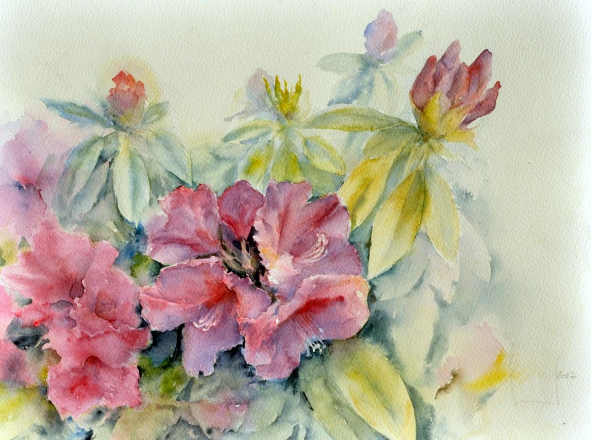 RHODODENDRON II. DREAM GARDEN original watercolor 41x31 by Beata van Wijngaarden