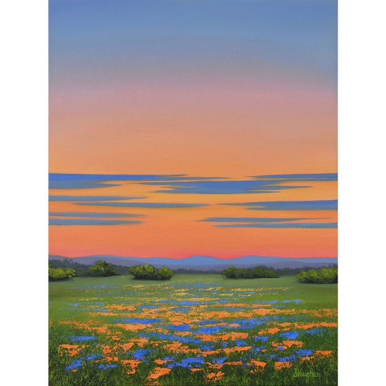 Wildflower Field - Colorful Flower Field Landscape