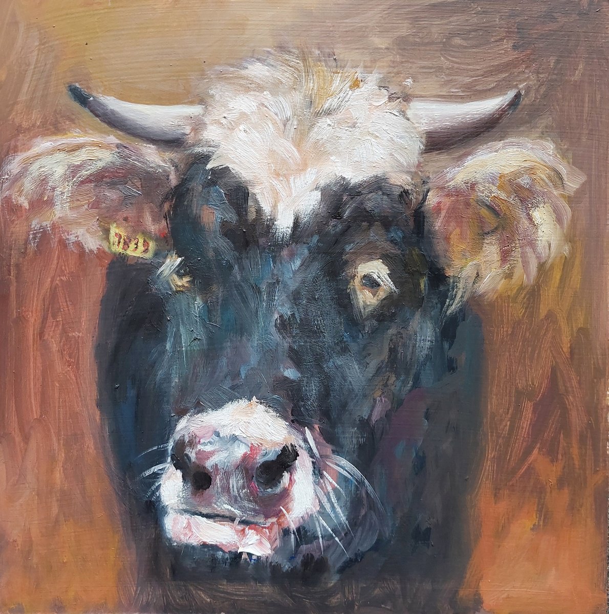 Expressive Animal Oil Painting By Els Driesen, 11 X 11, Cow, Original Artwork