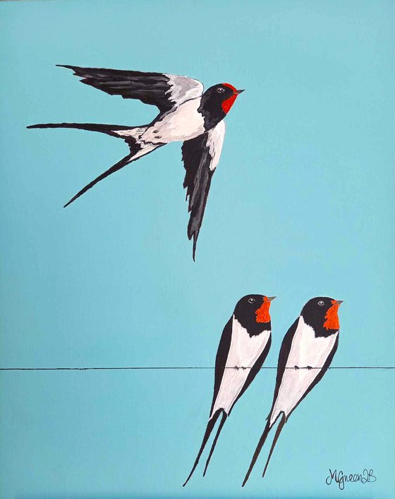 Summer Swallows