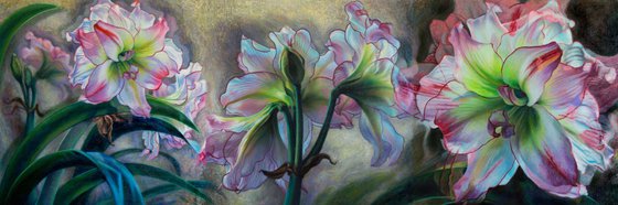 Pink Amaryllis Triptych