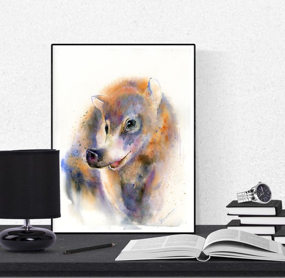 White nosed coati