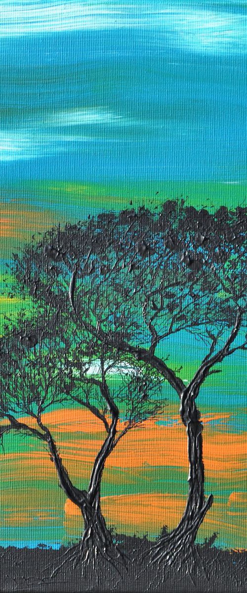 Sunset In Trees by Daniel Urbaník