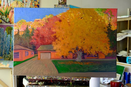 Fall In Vermont