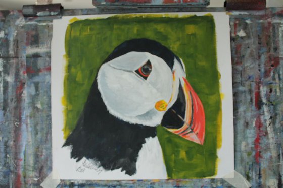 Puffin