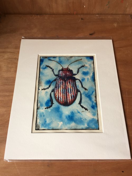 Exotic Beetle by Matt Buckett