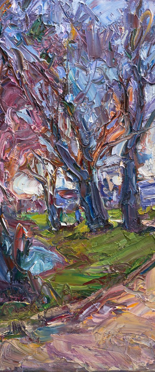 Willows, Early Spring by Vasyl Moldavchuk