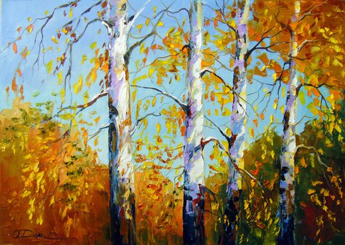 Autumn birch by Olha Darchuk