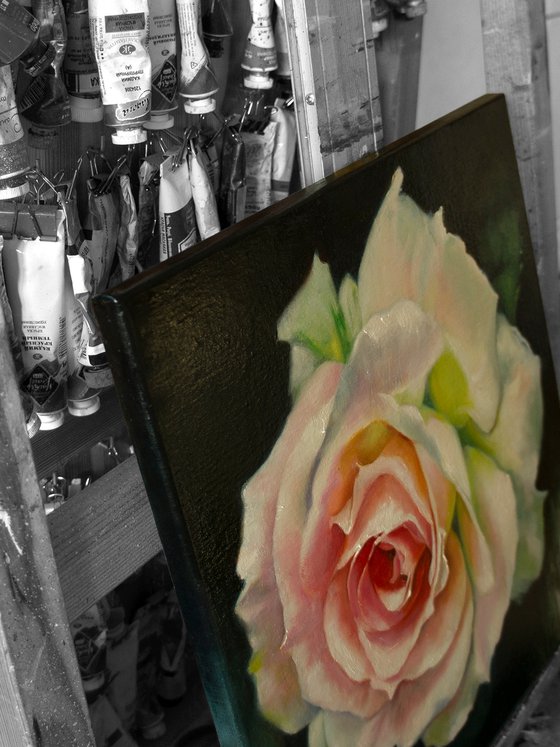 "Young beauty"  rose flower macro  original painting  GIFT (2018)