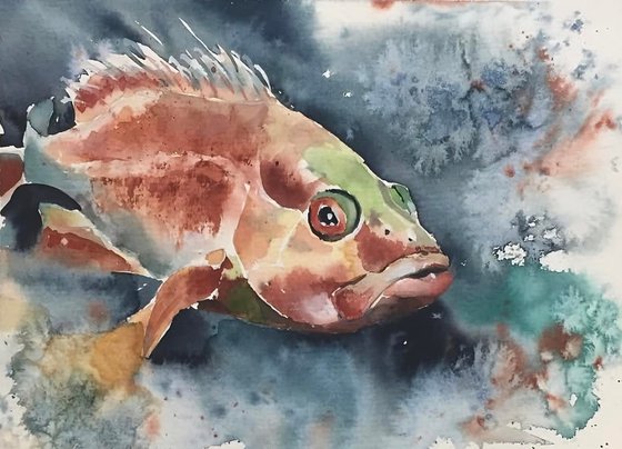 Sea devil, fish , magic