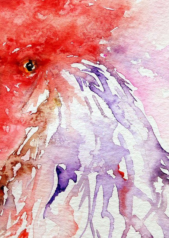 White and Purple Rooster