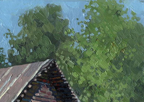 Bathhouse. The Shashkovo