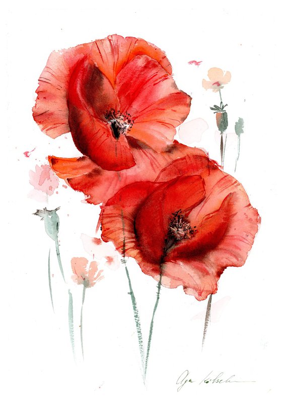 Watercolor abstract poppies