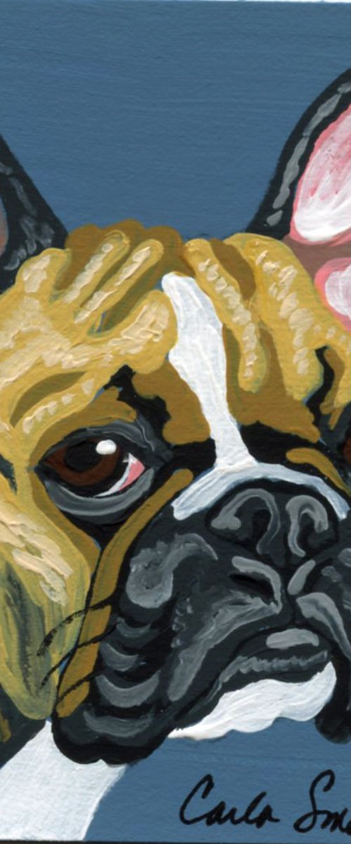 French Bulldog by Carla Smale