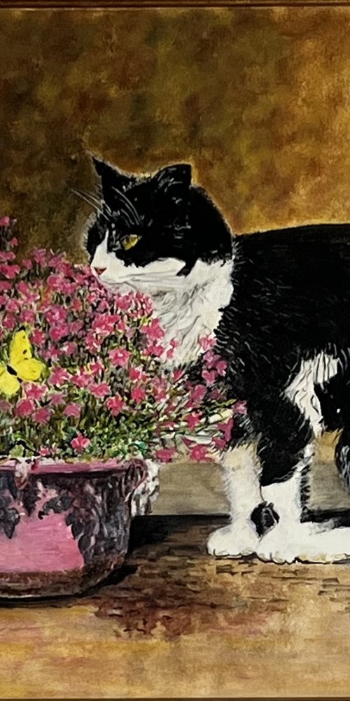 Butterfly and cat by Isabelle Lucas