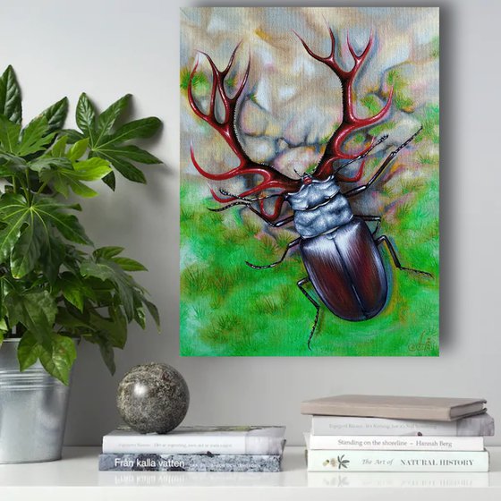 Deer or beetle