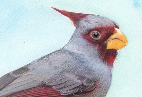 PARROT - BIRD LXXVIII