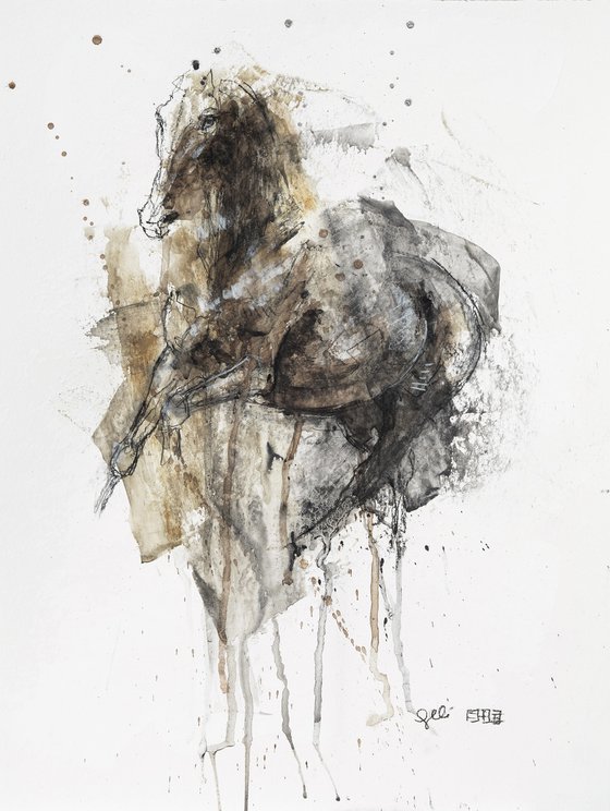 Equine Nude 167t