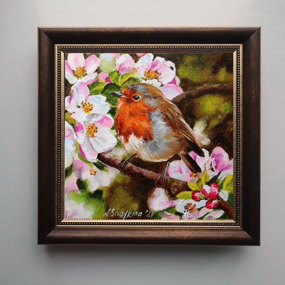 Robin Bird Painting