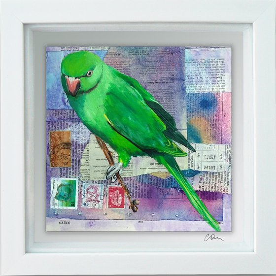 Parakeet - Ornithology#5 - Framed ready to hang original painting