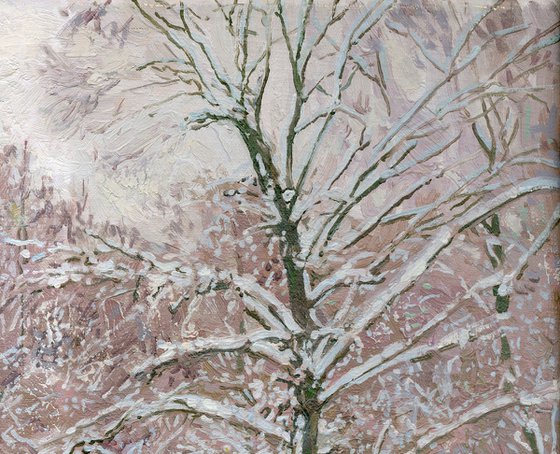 At the Ponomarka River in January