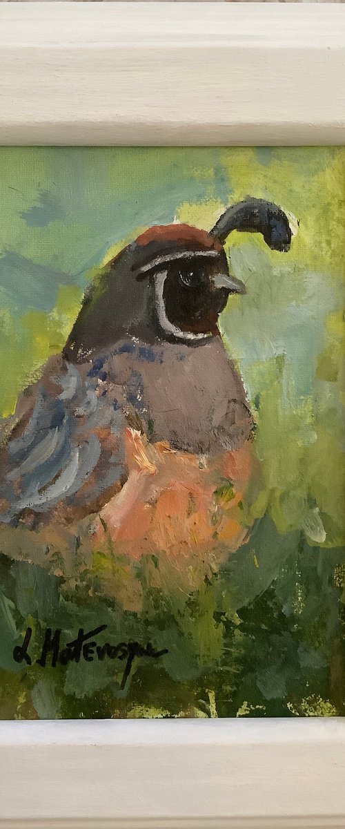 Quail Visitor by Lia Matevosyan Haselton