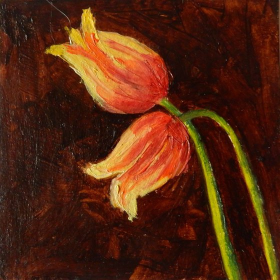 Tulips on brown.