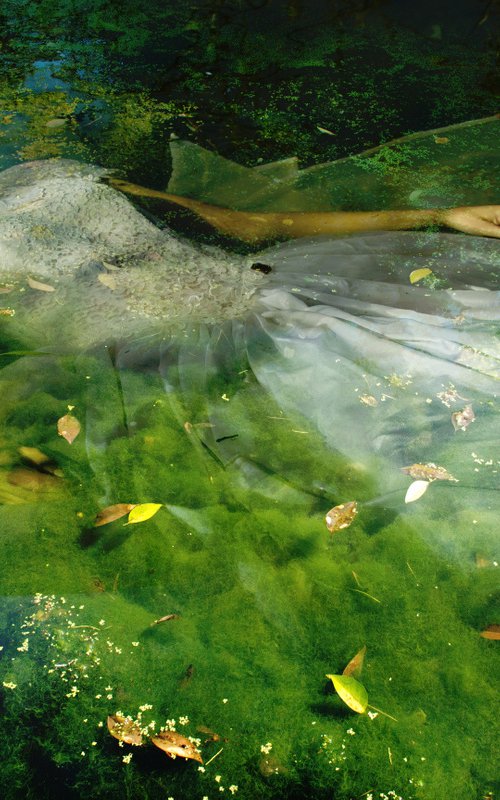 (MUSEUM FRAMED) Take me to your dreams Ophelia IV by Viet Ha Tran