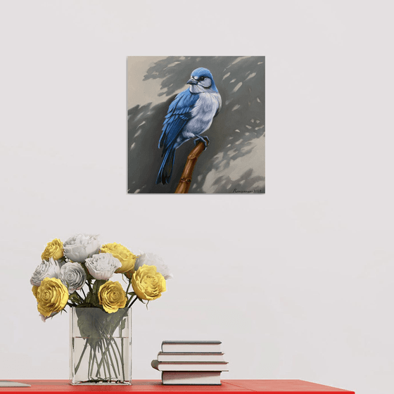 Blue Jay’s Vigil