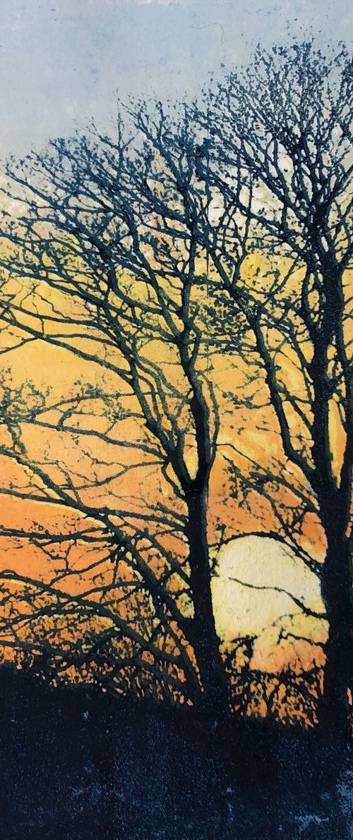 The Very Fringes of the Day by Diane McLellan