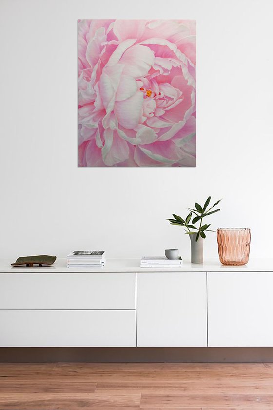 Divine Peony