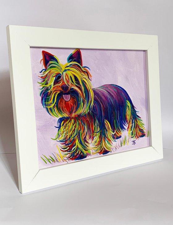 Rainbow Terrier