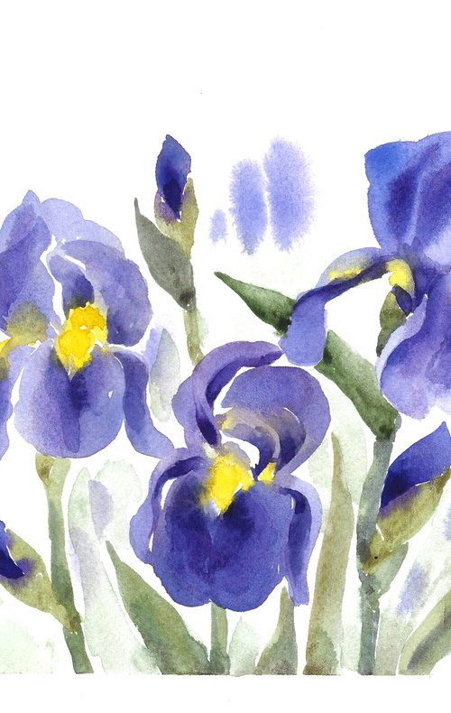 Irises flowers artwork, watercolor illustration by Tanya Amos