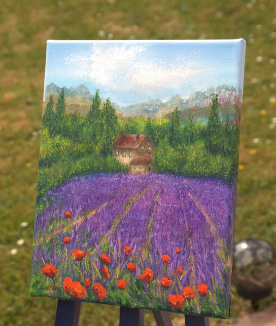 Lavender field