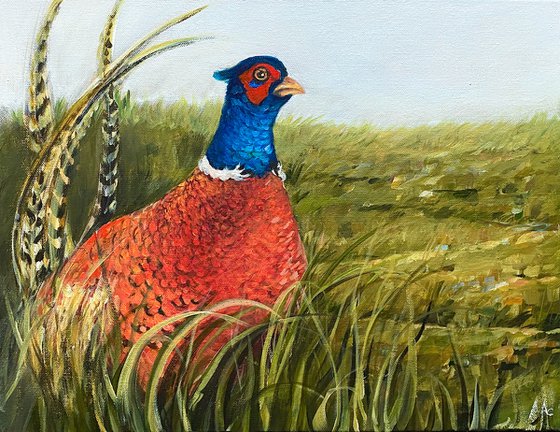 Pheasant Under Foliage