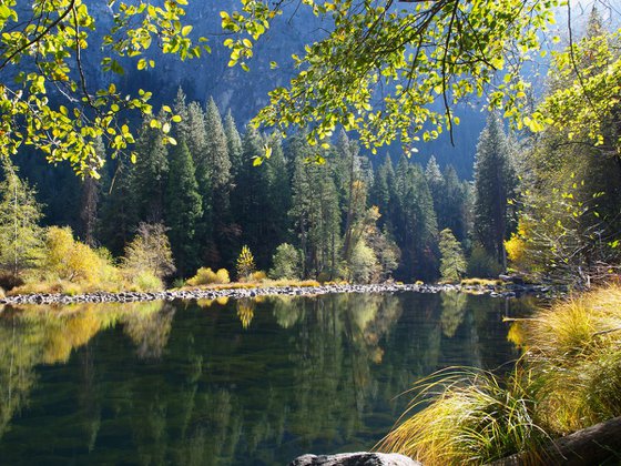 Merced River Reflections