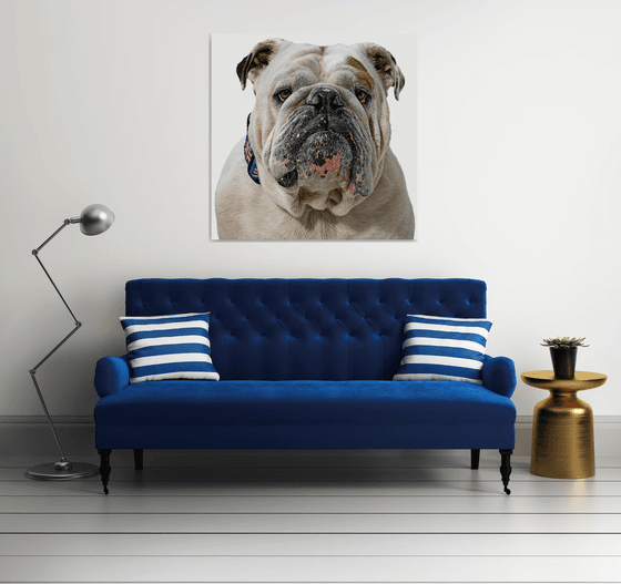 British Bulldog