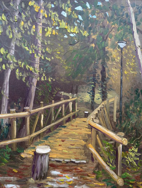 Autumn in Dutch forest