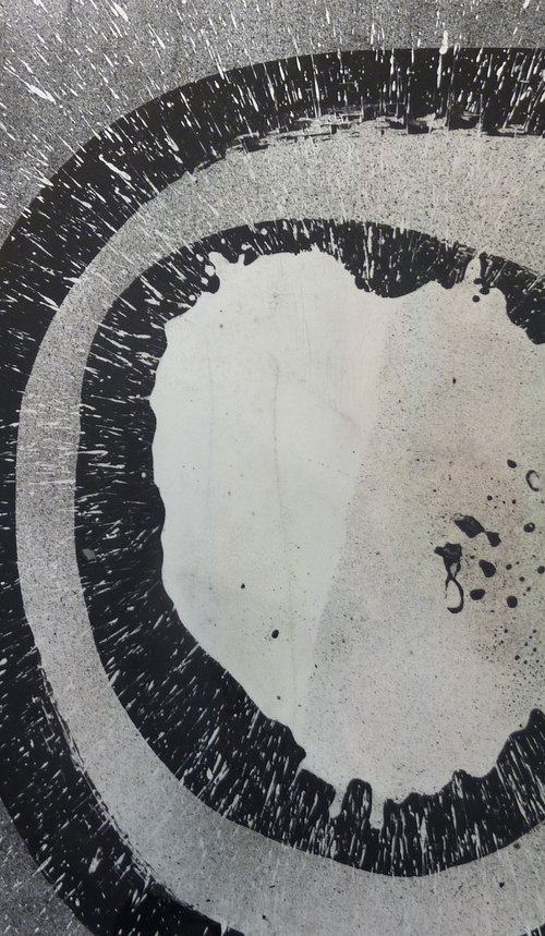 Accidental Degeneracies 4 by Elizabeth Anne Fox