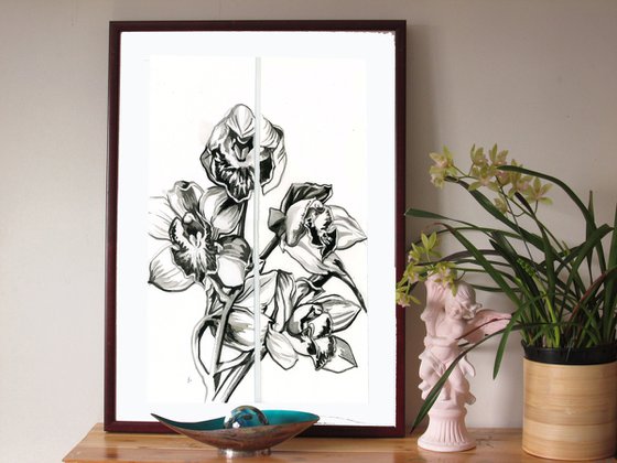 orchid brush drawing diptych