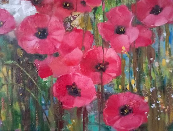 Poppies