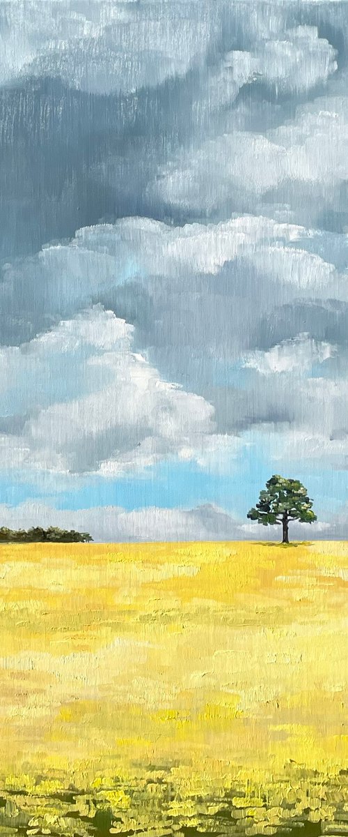 Yellow field, 65 x 65 cm by Tanya Stefanovich