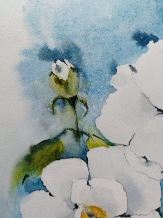 Magnolia painting. Blossoms painting