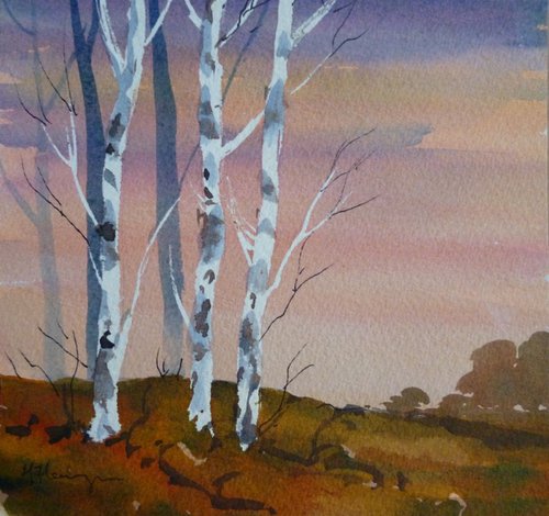 Silver Birches at Evening by Maire Flanagan