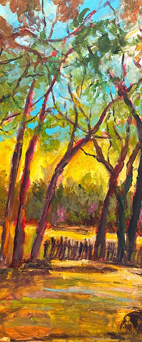 Fall in California by Mutlu Ertac