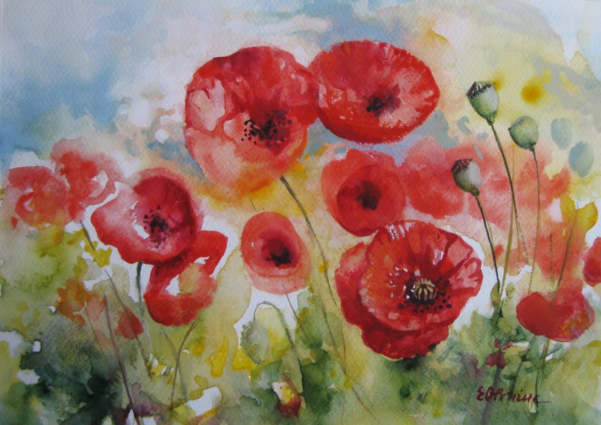 Red poppies field by Elena Oleniuc